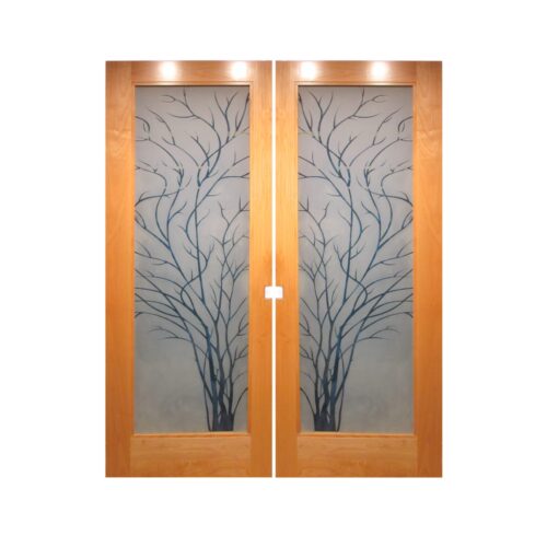 Who Builds Wooden Doors with Glass? featured image